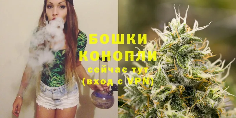 Бошки марихуана SATIVA & INDICA  наркотики  OMG маркетплейс  Десногорск 